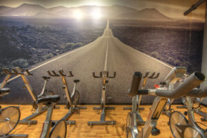 TCR Cycle Studio